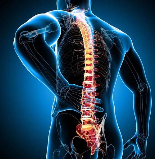 強(qiáng)直性脊柱炎 識(shí)別癥狀與科學(xué)治療